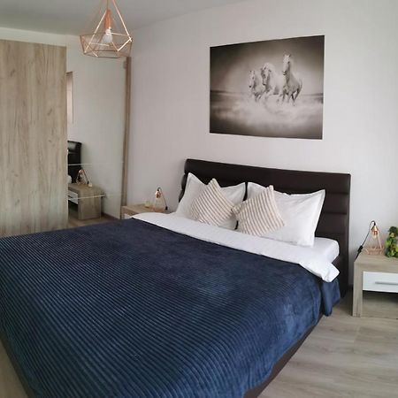 Marimonti Apartment Брашов Экстерьер фото